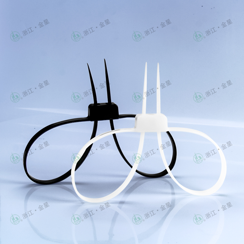 浙江金星TS600116134系列雙扣式尼龍?jiān)€帶 DOUBLE LOCKING CABLE TIE