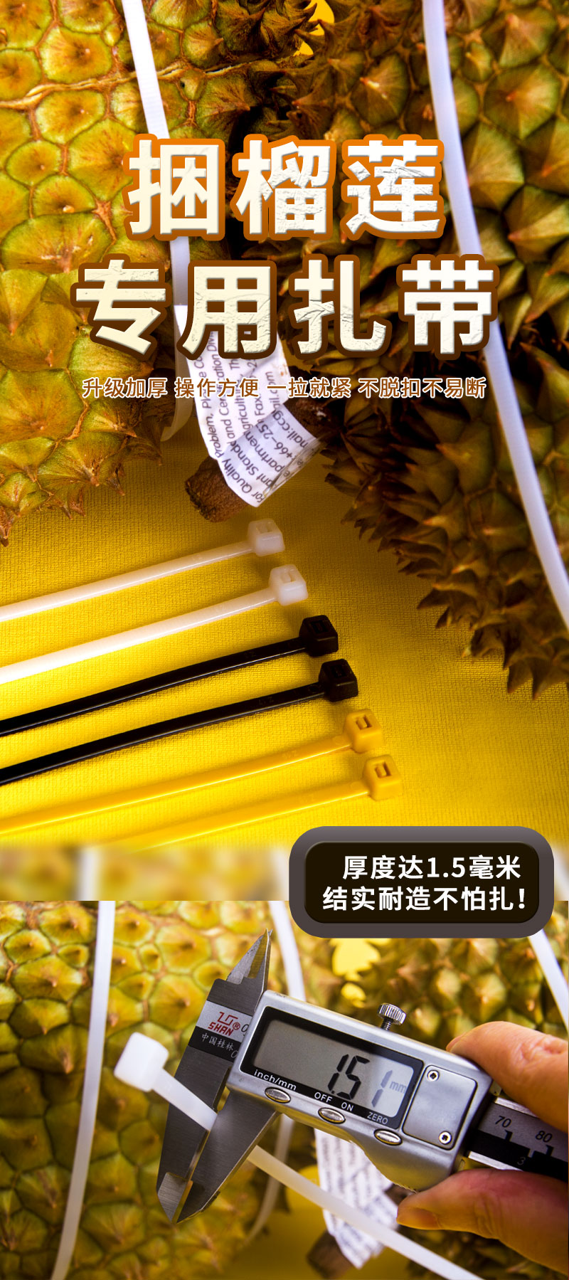 新詳情_01.jpg